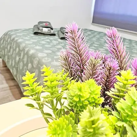Apartamento Reformado 3 Habitaciones Ac Alicante Buitenkant foto