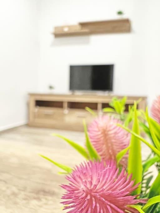 Reformado 3 Ac Appartement
